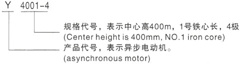 西安泰富西玛Y系列(H355-1000)高压YR5001-4/630KW三相异步电机型号说明